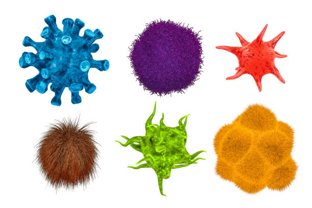 Set of viruses, 3D rendering isolated on white background stock photo
