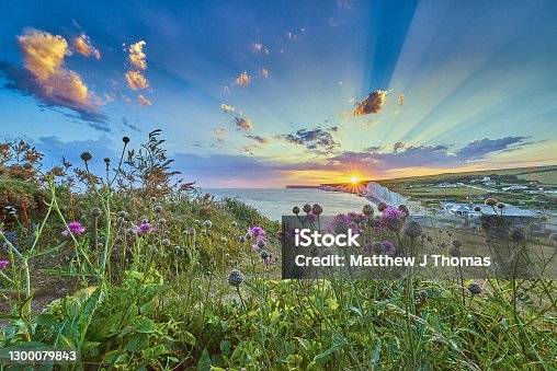 istock Seven Sisters Country Park, Sussex with wild flowers 1300079843