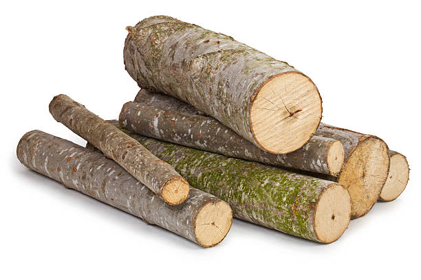 several-different-sized-logs-on-a-white-