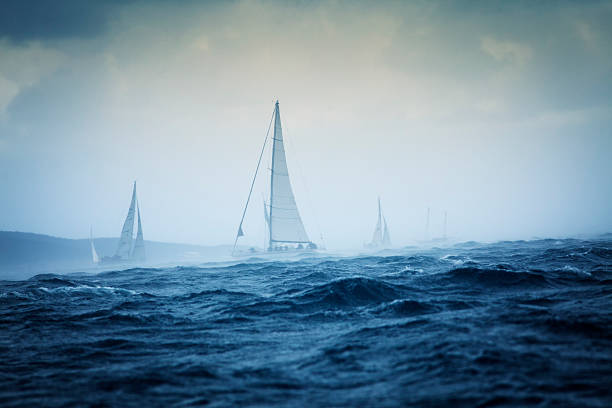 Several sail boats sailing in high tide sea stock photo