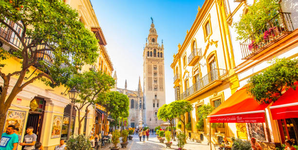 Seville Cathedral and Giralda tower, Spain Sevilla, Spain - 6 March, 2020: Panoramic city view with Seville Cathedral and Giralda tower. Old town street Calle Mateos Gago. seville stock pictures, royalty-free photos & images