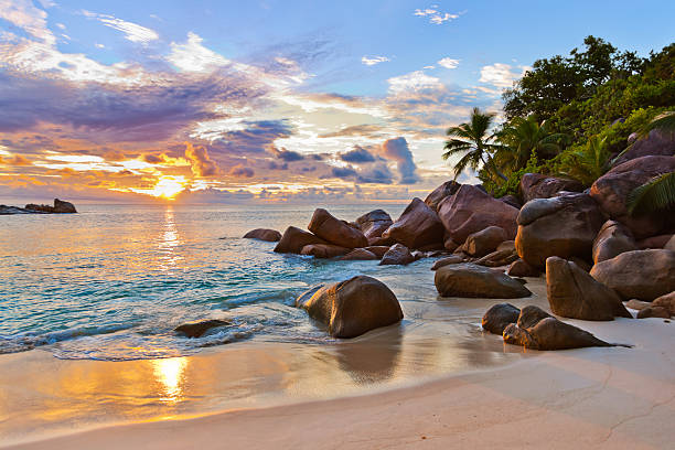 seychellen tropischen strand bei sonnenuntergang - praslin fotos stock-fotos und bilder