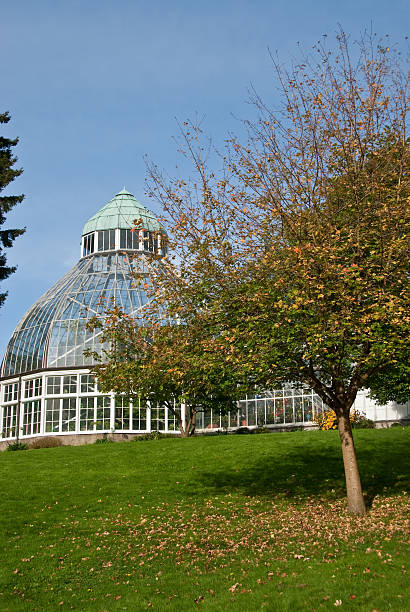 Seymour Botanical Conservatory at Wright Park Wright Park is a 27-acre arboretum and public park located in Tacoma, Washington, USA. The arboretum contains over 700 mature trees, representing about 100 native and exotic species. The Seymour Botanical Conservatory is a Victorian style structure located in Wright Park. The Conservatory was built in 1907 and named in honor of donor William W. Seymour. The conservatory contains more than 550 plant species in its permanent collection and also contains a rotating exhibit of that contains between 300-500 blooming plants at any given time. On October 8, 1976, Wright Park and the Seymour Conservatory were placed on the National Register of Historic Places. jeff goulden fall colors stock pictures, royalty-free photos & images