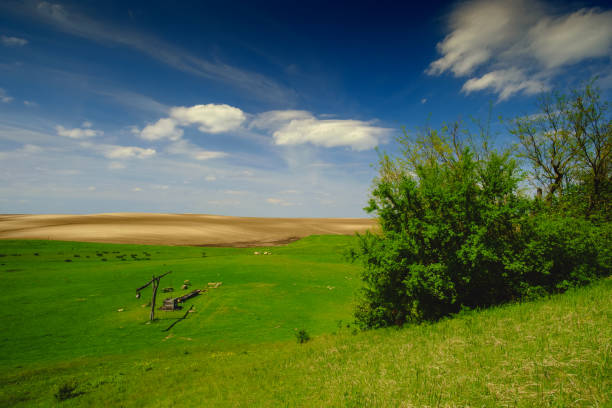 Shadoof on the pasture landscape  thomas wells stock pictures, royalty-free photos & images