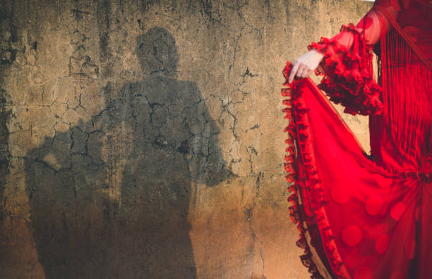 ombre de femme habillée en robe de flamenco sur le mur fissuré - danseuse flamenco photos et images de collection