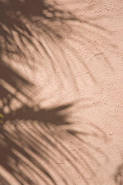 Shadows of a palm tree.... stock photo