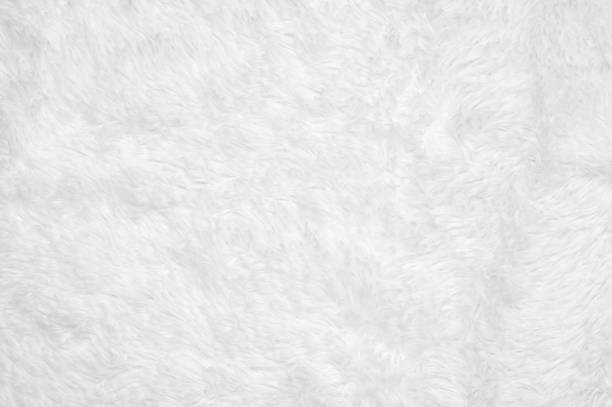 Shaggy blanket texture White shaggy blanket texture as background. animal hair stock pictures, royalty-free photos & images