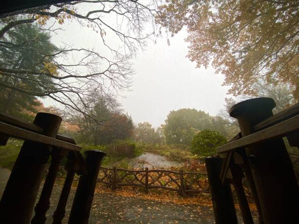 Shakespeare's Garden in the Rain in Central Park stock photo