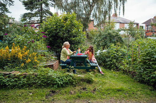 Grandmother and granddaughter sitting having a picnic together outdoors at a picnic bench at their family allotment. They are part of the same bubble during the Covid 19 lockdown.