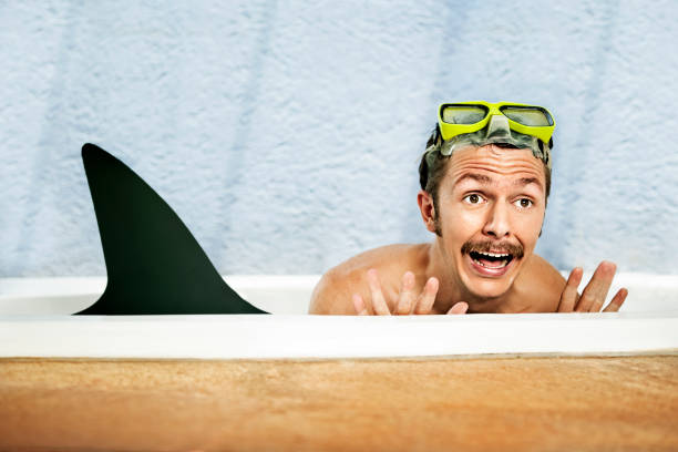 Shark attack Shark attacking a man on a bathtub worried man funny stock pictures, royalty-free photos & images