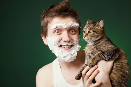 How to Painlessly Shave a Cat with Clippers? Traveling With Your Cat