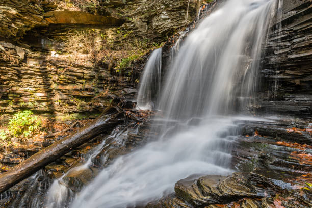Shawnee Falls in Ricketts Glen State Park stock photo