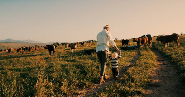 She just wants to chase after the animals Shot of an adorable baby girl learning to walk with her mother on their farm female animal stock pictures, royalty-free photos & images