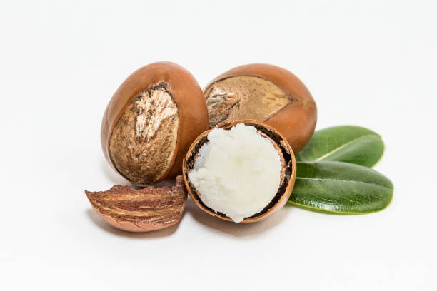 737 Shea Butter Leaf Stock Photos, Pictures & Royalty-Free Images - iStock