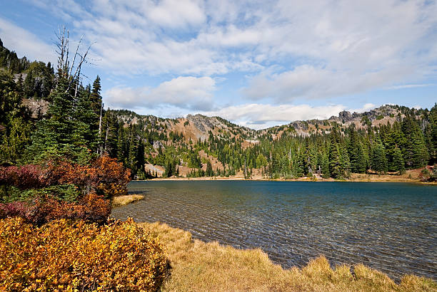 Sheep Lake in the Fall The Pacific Crest Trail, officially known as the Pacific Crest National Scenic Trail, stretches 2,653 miles from the Mexican border to the Canadian Border. It follows the Cascade Range of mountains in Washington, Oregon and Northern California. In Southern California it follows the Sierra Nevada range. The mountains, lakes, meadows and forests along the Pacific Crest Trail are a visual delight in any season. This colorful fall scene was photographed at Sheep Lake, north of Chinook Pass, in the Mount Baker Snoqualmie National Forest, Washington State, USA. jeff goulden washington state stock pictures, royalty-free photos & images