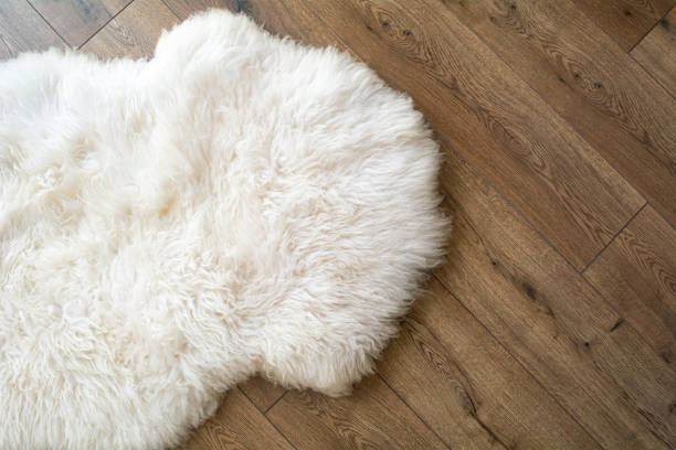 Sheep skin on the laminate floor in the room. View from above. stock photo