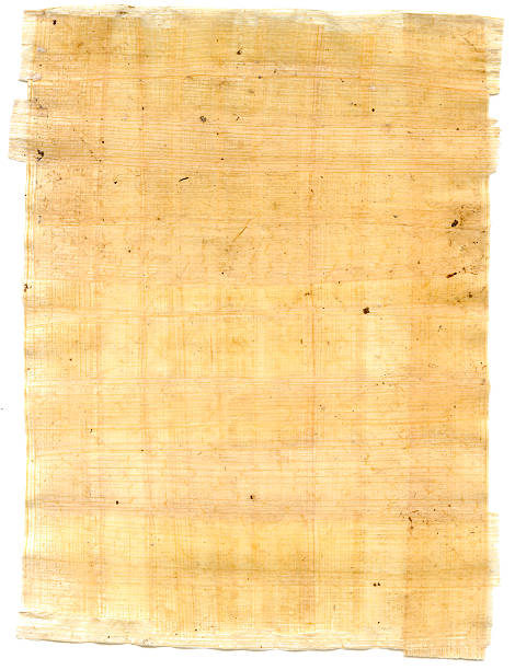 sheet of papyrus stock photo