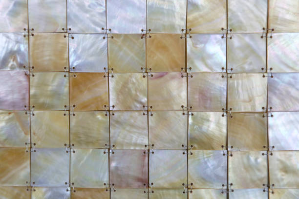 Shell background Shell background mother of pearl stock pictures, royalty-free photos & images