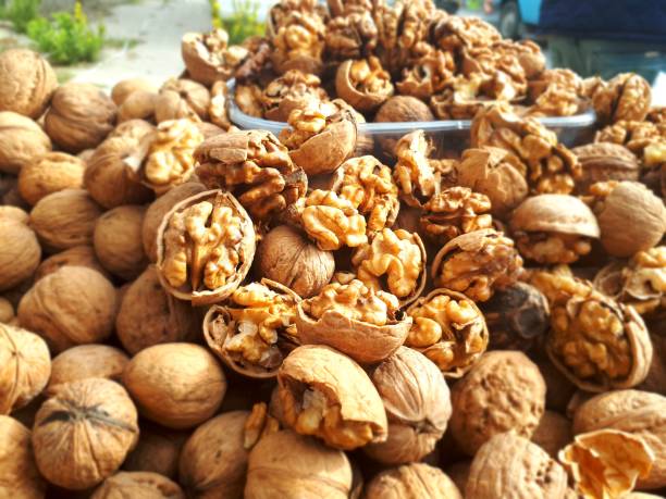 shelled fresh walnuts stock photo