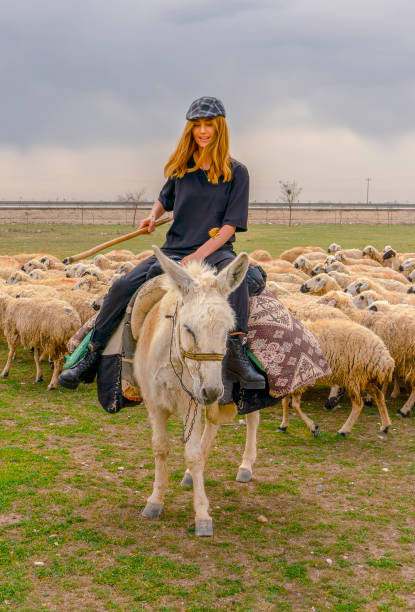 Woman Riding Donkey Stock Photos, Pictures & Royalty-Free Woman Riding Donkey Stock Photos, Pictures & Royalty-Free
