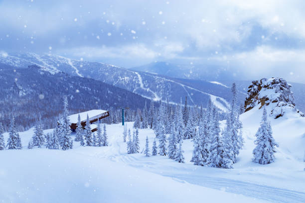 sheregesh skigebiet in russland, in berg shoriya, sibirien. winterlandschaft blau gefärbt, bäume im schnee und skipiste. - altai naturschutzgebiet stock-fotos und bilder