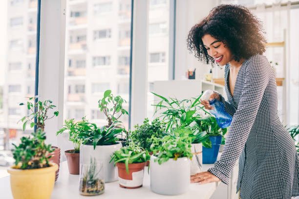 She's plant-savvy Cropped shot of an attractive young business owner surrounded by plants watering stock pictures, royalty-free photos & images