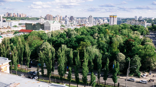 키예프의 셰브첸코 공원, 우크라이나 - shevchenko 뉴스 사진 이미지