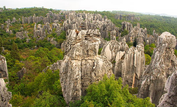 Resultado de imagem para floresta de pedra kunming