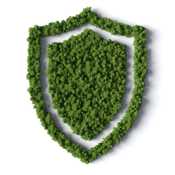 Shield Forest Icon stock photo