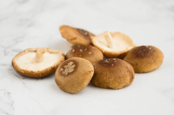 Shiitake mushrooms stock photo