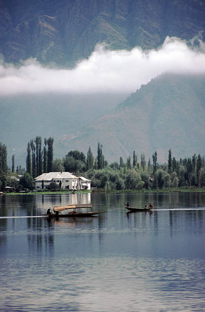 Shikaras on Dal Lake, Kashmir Shikaras (a sort of water taxi) on Dal Lake in Kashmir, India srinagar stock pictures, royalty-free photos & images