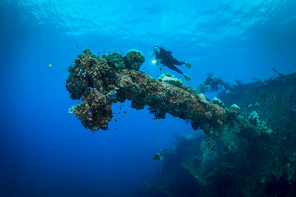 Shipwreck dive - Palau, Micronesia A female diver exploring the wreck Teshio Maru a Japanese Army Cargo Ship with 321 feet (98) on it's length, and was built in 1942-1944. The Teshio is one of the fishiest wrecks in Palau babeldaob island stock pictures, royalty-free photos & images
