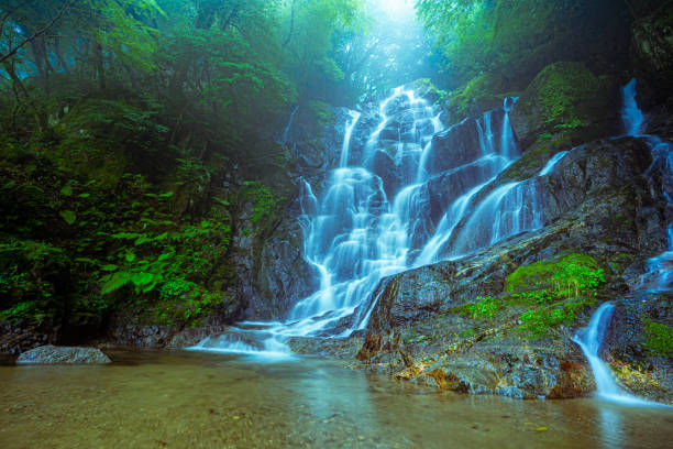 森の中の滝「白糸の滝」 - 自然美 ストックフォトと画像