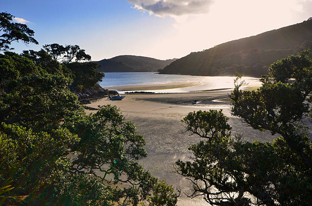 Shoal Bay, Tryphena harbour, Great Barrier Island New Zealand stock photo