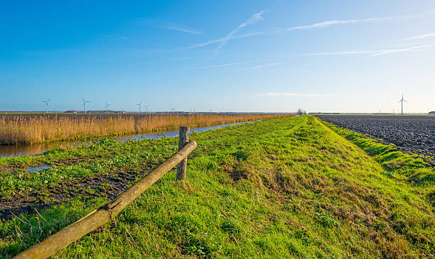 Shore of a canal through a field in autumn Shore of a canal through a field in autumn flevoland stock pictures, royalty-free photos & images