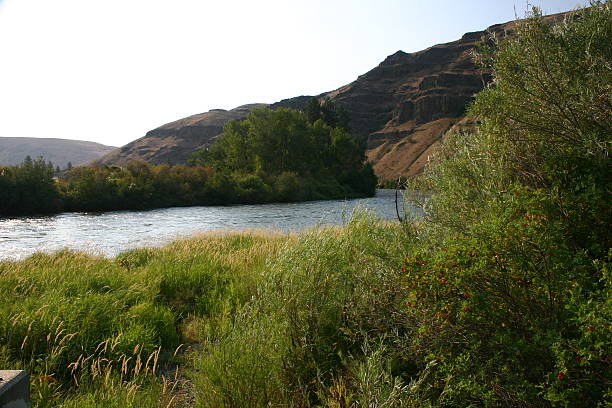 Shores of the Yakima River stock photo