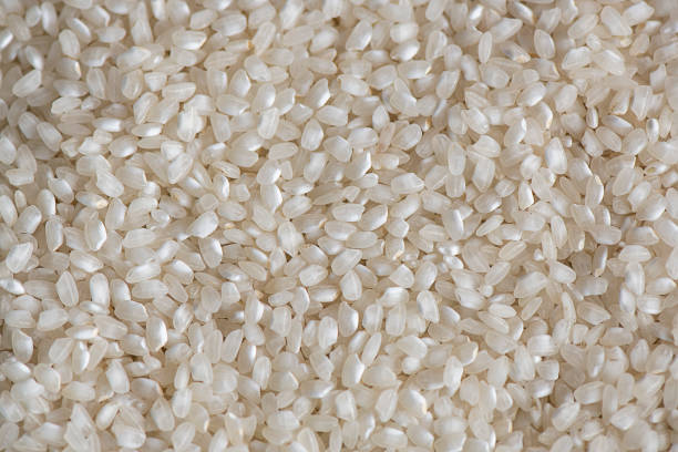 Short-grained white rice laid flat, dry and fresh popular cereal, staple food for over half the world's population stock photo