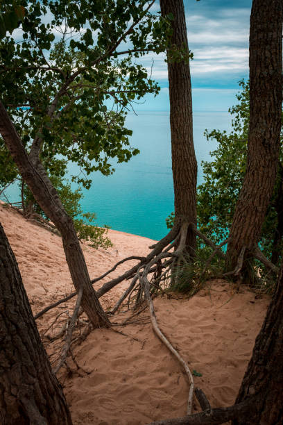 A shot of Lake Michigan through the trees at the top of the Sleeping Bear Dunes stock photo