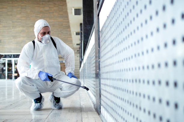 Shot of male person in white chemical protection suit doing disinfection of public areas to stop spreading highly contagious corona virus. Stop coronavirus or COVID-19.  disinfection stock pictures, royalty-free photos & images