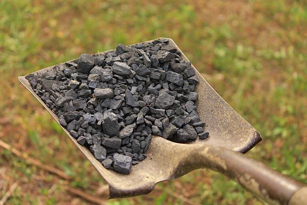 Shovel of Coal stock photo