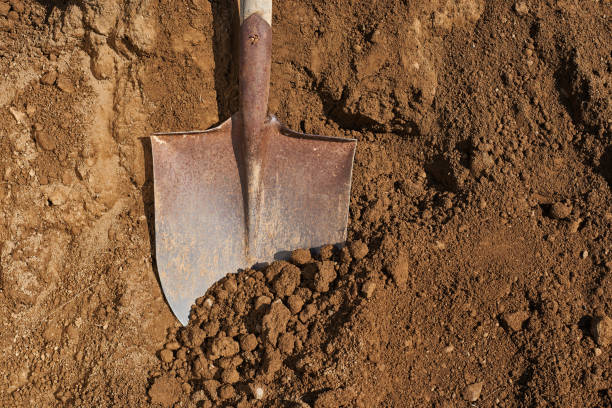 Shovel on soil backgound.Gardening. stock photo