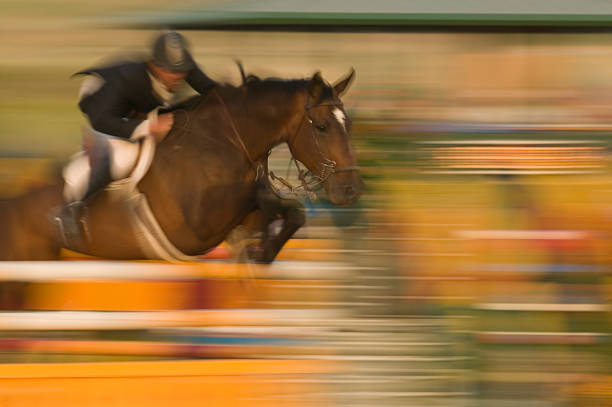A show jumper jockey and a horse clearing a high jump stock photo