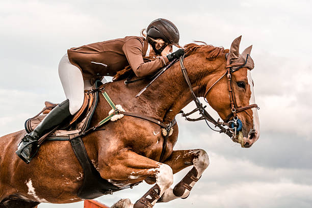 show jumping - horse with rider jumping over hurdle - jumping stockfoto's en -beelden