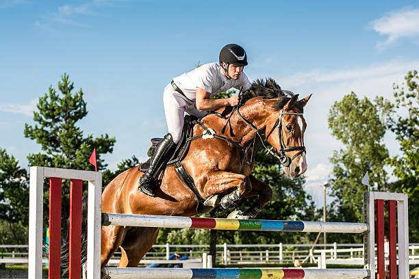 show jumping - horse with rider jumping over hurdle - jumping stockfoto's en -beelden