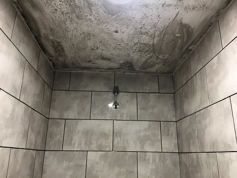 Shower Room With Mold On The Ceiling Stock Photo Download Image