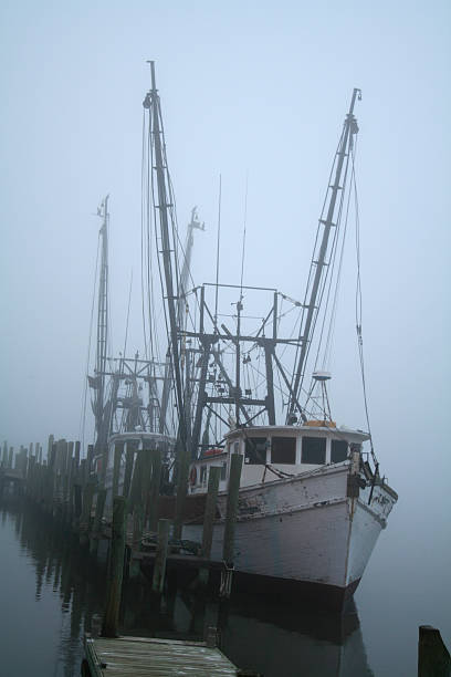 Shrimp Boats Docked in the Fog stock photo