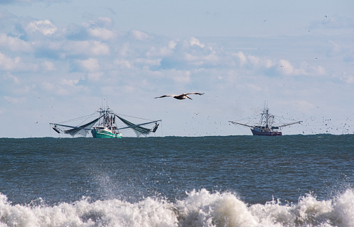 A pair of shrimp trawlers harvesting shrimp of the banks of Cape Hatteras along the Outer Banks of North Carolina