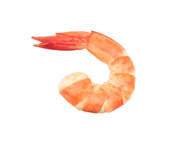 shrimps isolated on a white background stock photo