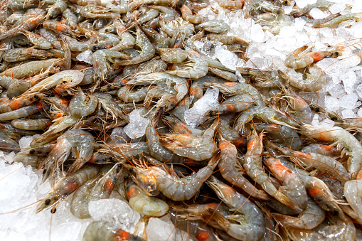 https://media.istockphoto.com/photos/shrimps-raw-prawns-unpeeled-whole-on-ice-are-sold-at-the-fish-market-picture-id1328558417?b=1&k=20&m=1328558417&s=170667a&w=0&h=1k0UGFnvkuQNGqLcUQZEaYAt002mdWeFvI36hO_xcRA=