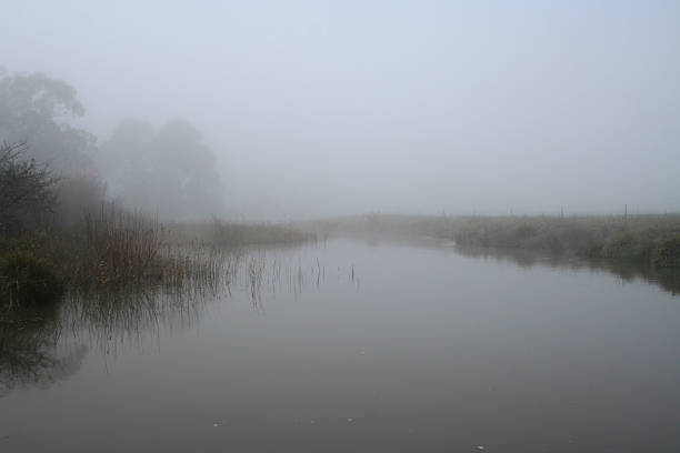 shroud of fog on water stock photo